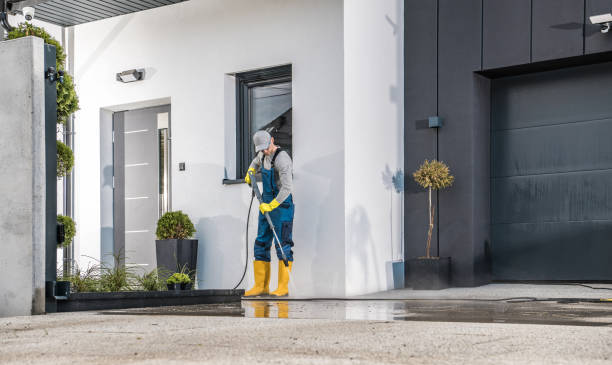 Pre-Holiday Cleaning in Bellwood, PA