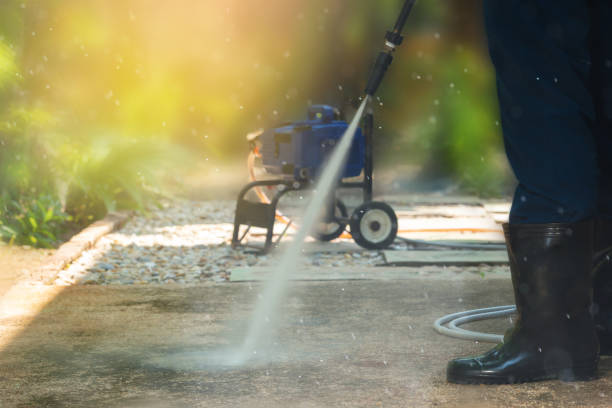 Best Gutter Cleaning  in Bellwood, PA